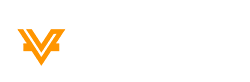 Voz Coin